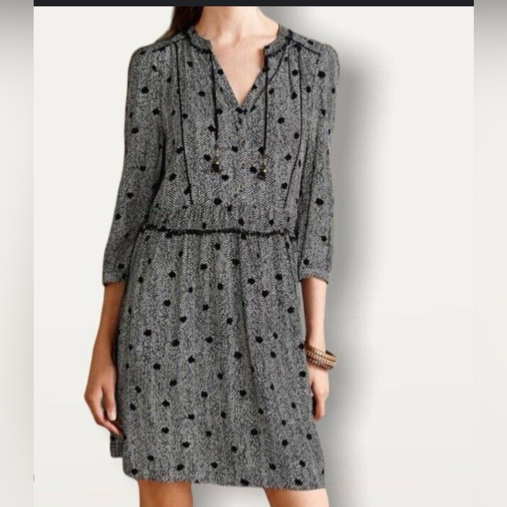 Anthropology Maeve size S Black and Gray A-Line Dress with Sailor Collar